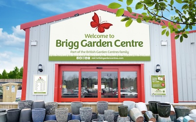 From Glam to Gingerbread: Christmas Themes to Suit Every Style