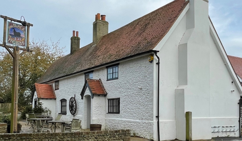 A Black Horse You Can Bank On