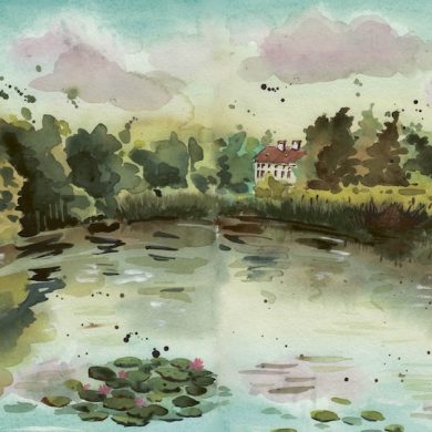 Finding Calm in Colour