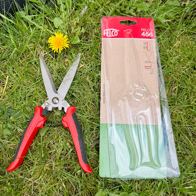 My Favourite Tools for a Tidy, Thriving Garden