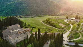 Some Rather Special Wines