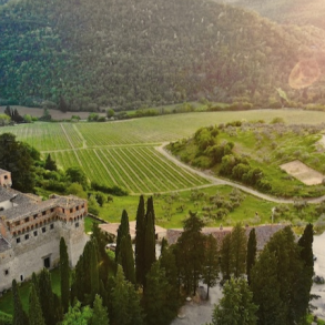 Some Rather Special Wines