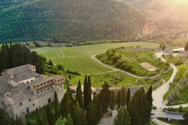 Some Rather Special Wines