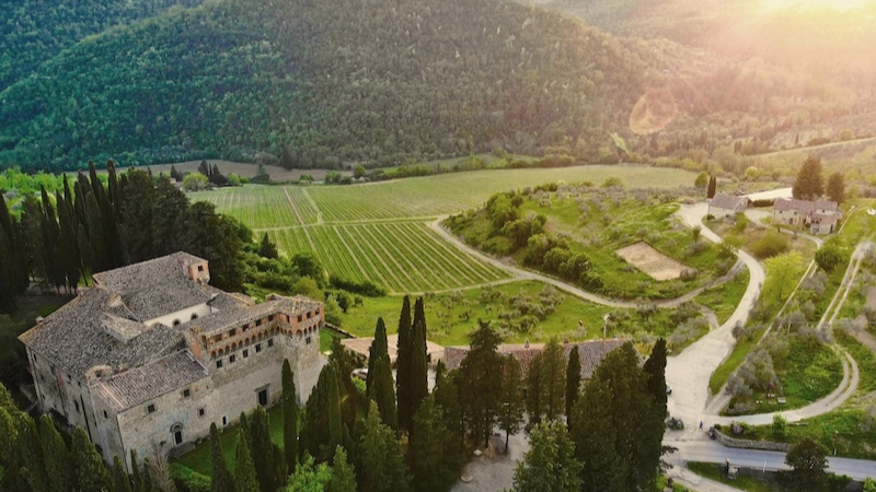 Some Rather Special Wines