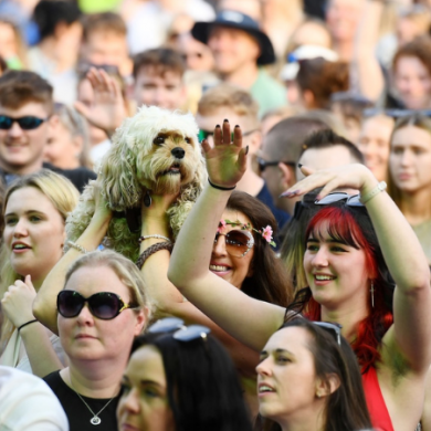 It’s Festival Season Soon