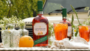 Summer Drinks and Festival Fun