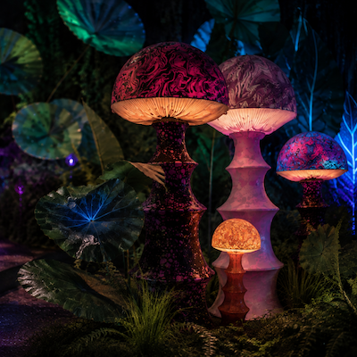 Alice Immersive Wonderland: Step Down the Rabbit Hole in London