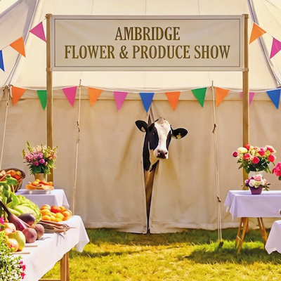 Ambridge Fun in Wimbledon