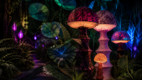 Alice Immersive Wonderland: Step Down the Rabbit Hole in London There are some stories that never really grow old, and Alice in Wonderland is certainly one of them. More than 160 years after Lewis Carroll first took readers down the rabbit hole, the wonderfully strange world of Wonderland is about to be brought to life in a completely new way. This November, Alice Immersive Wonderland will make its world premiere at Dock X in Canada Water, London, inviting visitors to quite literally step inside Alice's extraordinary world. And this isn't simply a case of watching the story unfold in front of you. Across an impressive 26,000 sq. ft., visitors will journey through 10 immersive spaces, with live actors, theatrical storytelling, projection mapping and multi-sensory environments combining to create a 120-minute adventure through Wonderland. And Women Talking will be heading down the rabbit hole to experience it for ourselves. Welcome to Wonderland The journey begins with the Rabbit Hole, taking visitors into a world where perceptions shift, scales change and reality becomes wonderfully blurred. From there, curiosity leads the way through a series of extraordinary spaces, including the mind-bending Doors Room and the Den of the Caterpillar, where visitors are confronted with that wonderfully Alice-like question: Who are you? The Rabbit House brings another familiar moment to life as Alice changes size, before the journey continues into the Forest of the Cheshire Cat. Then comes the Mad Tea Party – and we suspect this could be one of the highlights. The famous table comes alive with illusions and characters caught in an endless loop of madness, creating a suitably surreal take on one of Wonderland's most memorable scenes. Along the way, visitors will also encounter Curiosity Keys, a series of narrative interludes hosted by English comedian, writer and broadcaster Paul Taylor, offering insights into Alice's world. Meet the Queen Of course, no trip to Wonderland would be complete without an encounter with the Queen of Hearts. In the Queen's Court, visitors will meet the Queen's eccentric servants, brought to life by live actors, before taking part in a game of chess and even Flamingolf. The journey eventually leads to the Queen's iconic throne. From here, Lewis Castle takes a step back from the fantasy to explore the story behind Alice in Wonderland, the life of Lewis Carroll and the extraordinary cultural legacy of his work. The experience finishes in the Hall of Dreams, where monumental 360° projection mapping creates a spectacular finale, bringing Alice's journey to an emotional conclusion and exploring that ever-changing line between imagination and reality. Fancy a very curious tea party? There is also the opportunity to extend your visit with The Alice Tea Party, an immersive tea room inspired by Wonderland and its unforgettable characters. Expect themed culinary creations including cakes representing a white rabbit, a red rose and a mushroom – because if you're going to have afternoon tea in Wonderland, a plate of ordinary cakes simply wouldn't do. Something for all ages What I particularly like about the idea behind Alice Immersive Wonderland is that it isn't designed simply as something to look at. Visitors are encouraged to use their imagination, follow their curiosity and become part of the story. Produced by French company Cités Immersives with Rivaj Group / Encore Prod, and working alongside London-based promoter FKP Scorpio Entertainment UK Ltd, the production has also been developed with English Literature specialists Professor Robert Douglas-Fairhurst and Lawrence Gasquet, who formed part of an Expert Advisory Committee during its creation. Opening just before the festive season gets into full swing, it sounds like the kind of experience that could work equally well for a family day out, a group of friends or anyone who has ever fancied disappearing down the rabbit hole for a couple of hours. We're looking forward to seeing just how curious Wonderland really is when we visit in November. Alice Immersive Wonderland opens at Dock X, Canada Water, London, on 13 November 2026. Tickets are priced from £26 for adults and £19 for children aged 4+, with family tickets from £20 per person when booked for groups of 4–6. Booking fees apply. The waitlist is now open for exclusive pre-sale access, with tickets going on general sale on 6 October 2026.