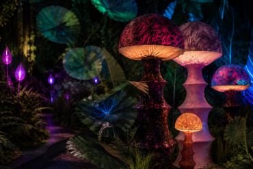 Alice Immersive Wonderland: Step Down the Rabbit Hole in London There are some stories that never really grow old, and Alice in Wonderland is certainly one of them. More than 160 years after Lewis Carroll first took readers down the rabbit hole, the wonderfully strange world of Wonderland is about to be brought to life in a completely new way. This November, Alice Immersive Wonderland will make its world premiere at Dock X in Canada Water, London, inviting visitors to quite literally step inside Alice's extraordinary world. And this isn't simply a case of watching the story unfold in front of you. Across an impressive 26,000 sq. ft., visitors will journey through 10 immersive spaces, with live actors, theatrical storytelling, projection mapping and multi-sensory environments combining to create a 120-minute adventure through Wonderland. And Women Talking will be heading down the rabbit hole to experience it for ourselves. Welcome to Wonderland The journey begins with the Rabbit Hole, taking visitors into a world where perceptions shift, scales change and reality becomes wonderfully blurred. From there, curiosity leads the way through a series of extraordinary spaces, including the mind-bending Doors Room and the Den of the Caterpillar, where visitors are confronted with that wonderfully Alice-like question: Who are you? The Rabbit House brings another familiar moment to life as Alice changes size, before the journey continues into the Forest of the Cheshire Cat. Then comes the Mad Tea Party – and we suspect this could be one of the highlights. The famous table comes alive with illusions and characters caught in an endless loop of madness, creating a suitably surreal take on one of Wonderland's most memorable scenes. Along the way, visitors will also encounter Curiosity Keys, a series of narrative interludes hosted by English comedian, writer and broadcaster Paul Taylor, offering insights into Alice's world. Meet the Queen Of course, no trip to Wonderland would be complete without an encounter with the Queen of Hearts. In the Queen's Court, visitors will meet the Queen's eccentric servants, brought to life by live actors, before taking part in a game of chess and even Flamingolf. The journey eventually leads to the Queen's iconic throne. From here, Lewis Castle takes a step back from the fantasy to explore the story behind Alice in Wonderland, the life of Lewis Carroll and the extraordinary cultural legacy of his work. The experience finishes in the Hall of Dreams, where monumental 360° projection mapping creates a spectacular finale, bringing Alice's journey to an emotional conclusion and exploring that ever-changing line between imagination and reality. Fancy a very curious tea party? There is also the opportunity to extend your visit with The Alice Tea Party, an immersive tea room inspired by Wonderland and its unforgettable characters. Expect themed culinary creations including cakes representing a white rabbit, a red rose and a mushroom – because if you're going to have afternoon tea in Wonderland, a plate of ordinary cakes simply wouldn't do. Something for all ages What I particularly like about the idea behind Alice Immersive Wonderland is that it isn't designed simply as something to look at. Visitors are encouraged to use their imagination, follow their curiosity and become part of the story. Produced by French company Cités Immersives with Rivaj Group / Encore Prod, and working alongside London-based promoter FKP Scorpio Entertainment UK Ltd, the production has also been developed with English Literature specialists Professor Robert Douglas-Fairhurst and Lawrence Gasquet, who formed part of an Expert Advisory Committee during its creation. Opening just before the festive season gets into full swing, it sounds like the kind of experience that could work equally well for a family day out, a group of friends or anyone who has ever fancied disappearing down the rabbit hole for a couple of hours. We're looking forward to seeing just how curious Wonderland really is when we visit in November. Alice Immersive Wonderland opens at Dock X, Canada Water, London, on 13 November 2026. Tickets are priced from £26 for adults and £19 for children aged 4+, with family tickets from £20 per person when booked for groups of 4–6. Booking fees apply. The waitlist is now open for exclusive pre-sale access, with tickets going on general sale on 6 October 2026.