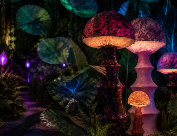 Alice Immersive Wonderland: Step Down the Rabbit Hole in London There are some stories that never really grow old, and Alice in Wonderland is certainly one of them. More than 160 years after Lewis Carroll first took readers down the rabbit hole, the wonderfully strange world of Wonderland is about to be brought to life in a completely new way. This November, Alice Immersive Wonderland will make its world premiere at Dock X in Canada Water, London, inviting visitors to quite literally step inside Alice's extraordinary world. And this isn't simply a case of watching the story unfold in front of you. Across an impressive 26,000 sq. ft., visitors will journey through 10 immersive spaces, with live actors, theatrical storytelling, projection mapping and multi-sensory environments combining to create a 120-minute adventure through Wonderland. And Women Talking will be heading down the rabbit hole to experience it for ourselves. Welcome to Wonderland The journey begins with the Rabbit Hole, taking visitors into a world where perceptions shift, scales change and reality becomes wonderfully blurred. From there, curiosity leads the way through a series of extraordinary spaces, including the mind-bending Doors Room and the Den of the Caterpillar, where visitors are confronted with that wonderfully Alice-like question: Who are you? The Rabbit House brings another familiar moment to life as Alice changes size, before the journey continues into the Forest of the Cheshire Cat. Then comes the Mad Tea Party – and we suspect this could be one of the highlights. The famous table comes alive with illusions and characters caught in an endless loop of madness, creating a suitably surreal take on one of Wonderland's most memorable scenes. Along the way, visitors will also encounter Curiosity Keys, a series of narrative interludes hosted by English comedian, writer and broadcaster Paul Taylor, offering insights into Alice's world. Meet the Queen Of course, no trip to Wonderland would be complete without an encounter with the Queen of Hearts. In the Queen's Court, visitors will meet the Queen's eccentric servants, brought to life by live actors, before taking part in a game of chess and even Flamingolf. The journey eventually leads to the Queen's iconic throne. From here, Lewis Castle takes a step back from the fantasy to explore the story behind Alice in Wonderland, the life of Lewis Carroll and the extraordinary cultural legacy of his work. The experience finishes in the Hall of Dreams, where monumental 360° projection mapping creates a spectacular finale, bringing Alice's journey to an emotional conclusion and exploring that ever-changing line between imagination and reality. Fancy a very curious tea party? There is also the opportunity to extend your visit with The Alice Tea Party, an immersive tea room inspired by Wonderland and its unforgettable characters. Expect themed culinary creations including cakes representing a white rabbit, a red rose and a mushroom – because if you're going to have afternoon tea in Wonderland, a plate of ordinary cakes simply wouldn't do. Something for all ages What I particularly like about the idea behind Alice Immersive Wonderland is that it isn't designed simply as something to look at. Visitors are encouraged to use their imagination, follow their curiosity and become part of the story. Produced by French company Cités Immersives with Rivaj Group / Encore Prod, and working alongside London-based promoter FKP Scorpio Entertainment UK Ltd, the production has also been developed with English Literature specialists Professor Robert Douglas-Fairhurst and Lawrence Gasquet, who formed part of an Expert Advisory Committee during its creation. Opening just before the festive season gets into full swing, it sounds like the kind of experience that could work equally well for a family day out, a group of friends or anyone who has ever fancied disappearing down the rabbit hole for a couple of hours. We're looking forward to seeing just how curious Wonderland really is when we visit in November. Alice Immersive Wonderland opens at Dock X, Canada Water, London, on 13 November 2026. Tickets are priced from £26 for adults and £19 for children aged 4+, with family tickets from £20 per person when booked for groups of 4–6. Booking fees apply. The waitlist is now open for exclusive pre-sale access, with tickets going on general sale on 6 October 2026.