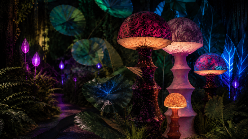 Alice Immersive Wonderland: Step Down the Rabbit Hole in London There are some stories that never really grow old, and Alice in Wonderland is certainly one of them. More than 160 years after Lewis Carroll first took readers down the rabbit hole, the wonderfully strange world of Wonderland is about to be brought to life in a completely new way. This November, Alice Immersive Wonderland will make its world premiere at Dock X in Canada Water, London, inviting visitors to quite literally step inside Alice's extraordinary world. And this isn't simply a case of watching the story unfold in front of you. Across an impressive 26,000 sq. ft., visitors will journey through 10 immersive spaces, with live actors, theatrical storytelling, projection mapping and multi-sensory environments combining to create a 120-minute adventure through Wonderland. And Women Talking will be heading down the rabbit hole to experience it for ourselves. Welcome to Wonderland The journey begins with the Rabbit Hole, taking visitors into a world where perceptions shift, scales change and reality becomes wonderfully blurred. From there, curiosity leads the way through a series of extraordinary spaces, including the mind-bending Doors Room and the Den of the Caterpillar, where visitors are confronted with that wonderfully Alice-like question: Who are you? The Rabbit House brings another familiar moment to life as Alice changes size, before the journey continues into the Forest of the Cheshire Cat. Then comes the Mad Tea Party – and we suspect this could be one of the highlights. The famous table comes alive with illusions and characters caught in an endless loop of madness, creating a suitably surreal take on one of Wonderland's most memorable scenes. Along the way, visitors will also encounter Curiosity Keys, a series of narrative interludes hosted by English comedian, writer and broadcaster Paul Taylor, offering insights into Alice's world. Meet the Queen Of course, no trip to Wonderland would be complete without an encounter with the Queen of Hearts. In the Queen's Court, visitors will meet the Queen's eccentric servants, brought to life by live actors, before taking part in a game of chess and even Flamingolf. The journey eventually leads to the Queen's iconic throne. From here, Lewis Castle takes a step back from the fantasy to explore the story behind Alice in Wonderland, the life of Lewis Carroll and the extraordinary cultural legacy of his work. The experience finishes in the Hall of Dreams, where monumental 360° projection mapping creates a spectacular finale, bringing Alice's journey to an emotional conclusion and exploring that ever-changing line between imagination and reality. Fancy a very curious tea party? There is also the opportunity to extend your visit with The Alice Tea Party, an immersive tea room inspired by Wonderland and its unforgettable characters. Expect themed culinary creations including cakes representing a white rabbit, a red rose and a mushroom – because if you're going to have afternoon tea in Wonderland, a plate of ordinary cakes simply wouldn't do. Something for all ages What I particularly like about the idea behind Alice Immersive Wonderland is that it isn't designed simply as something to look at. Visitors are encouraged to use their imagination, follow their curiosity and become part of the story. Produced by French company Cités Immersives with Rivaj Group / Encore Prod, and working alongside London-based promoter FKP Scorpio Entertainment UK Ltd, the production has also been developed with English Literature specialists Professor Robert Douglas-Fairhurst and Lawrence Gasquet, who formed part of an Expert Advisory Committee during its creation. Opening just before the festive season gets into full swing, it sounds like the kind of experience that could work equally well for a family day out, a group of friends or anyone who has ever fancied disappearing down the rabbit hole for a couple of hours. We're looking forward to seeing just how curious Wonderland really is when we visit in November. Alice Immersive Wonderland opens at Dock X, Canada Water, London, on 13 November 2026. Tickets are priced from £26 for adults and £19 for children aged 4+, with family tickets from £20 per person when booked for groups of 4–6. Booking fees apply. The waitlist is now open for exclusive pre-sale access, with tickets going on general sale on 6 October 2026.
