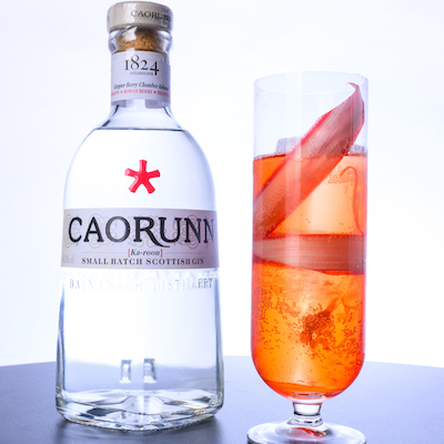 Savour Autumn Moments with Caorunn Classic Gin