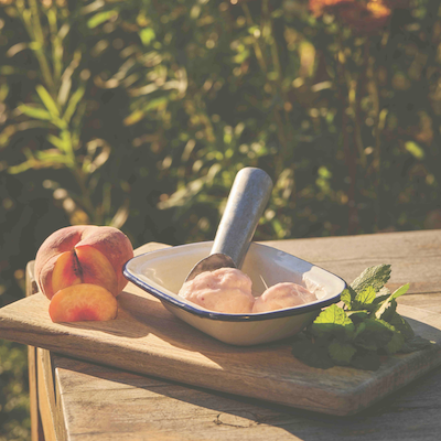 The Fermentation Year