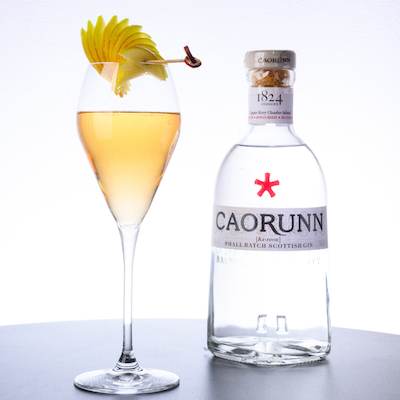 Savour Autumn Moments with Caorunn Classic Gin