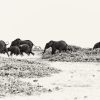 The Luxury Travel Fair Celebrates 20 Years of Extraordinary Journeys
