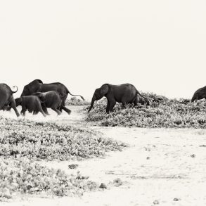 The Luxury Travel Fair Celebrates 20 Years of Extraordinary Journeys