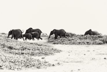 The Luxury Travel Fair Celebrates 20 Years of Extraordinary Journeys