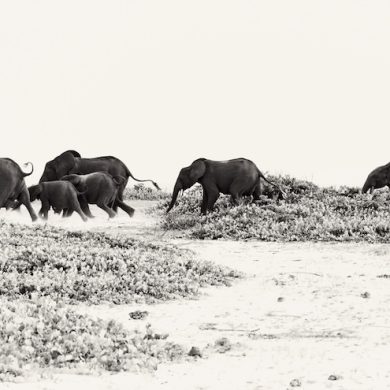 The Luxury Travel Fair Celebrates 20 Years of Extraordinary Journeys