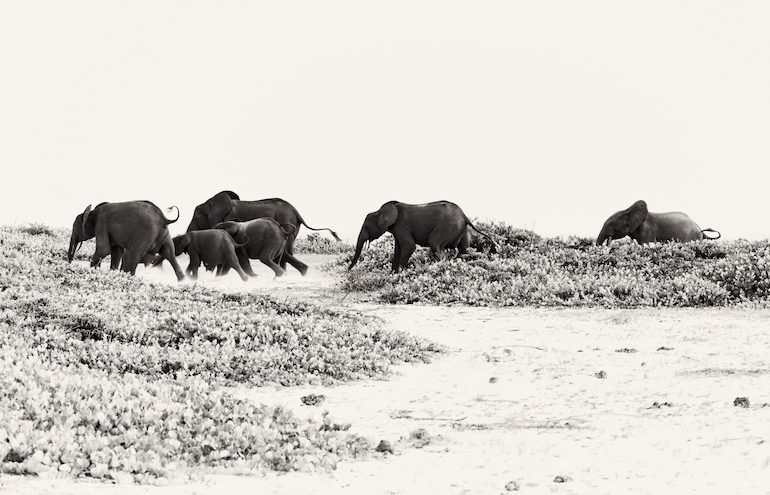 The Luxury Travel Fair Celebrates 20 Years of Extraordinary Journeys
