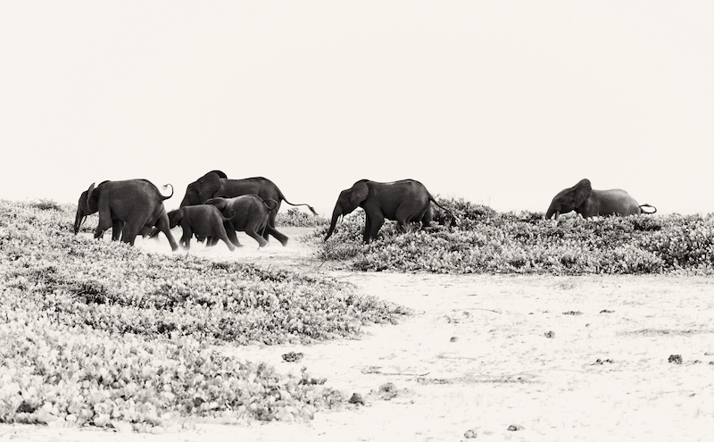 The Luxury Travel Fair Celebrates 20 Years of Extraordinary Journeys
