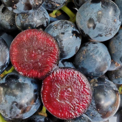 Not Your Average Grapes