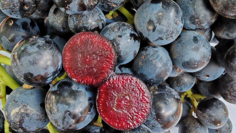 Not Your Average Grapes